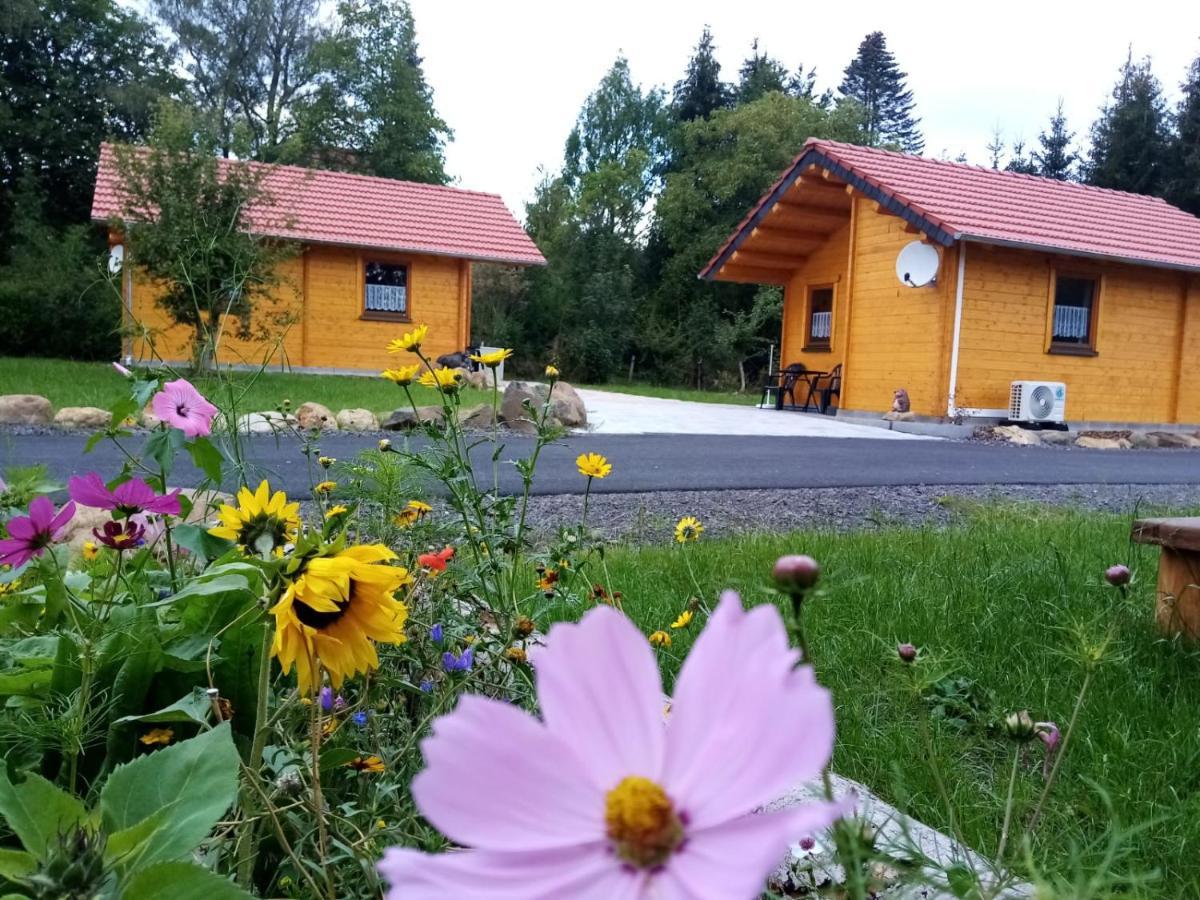 Holiday home Gruenes Paradies Hochwaldhausen