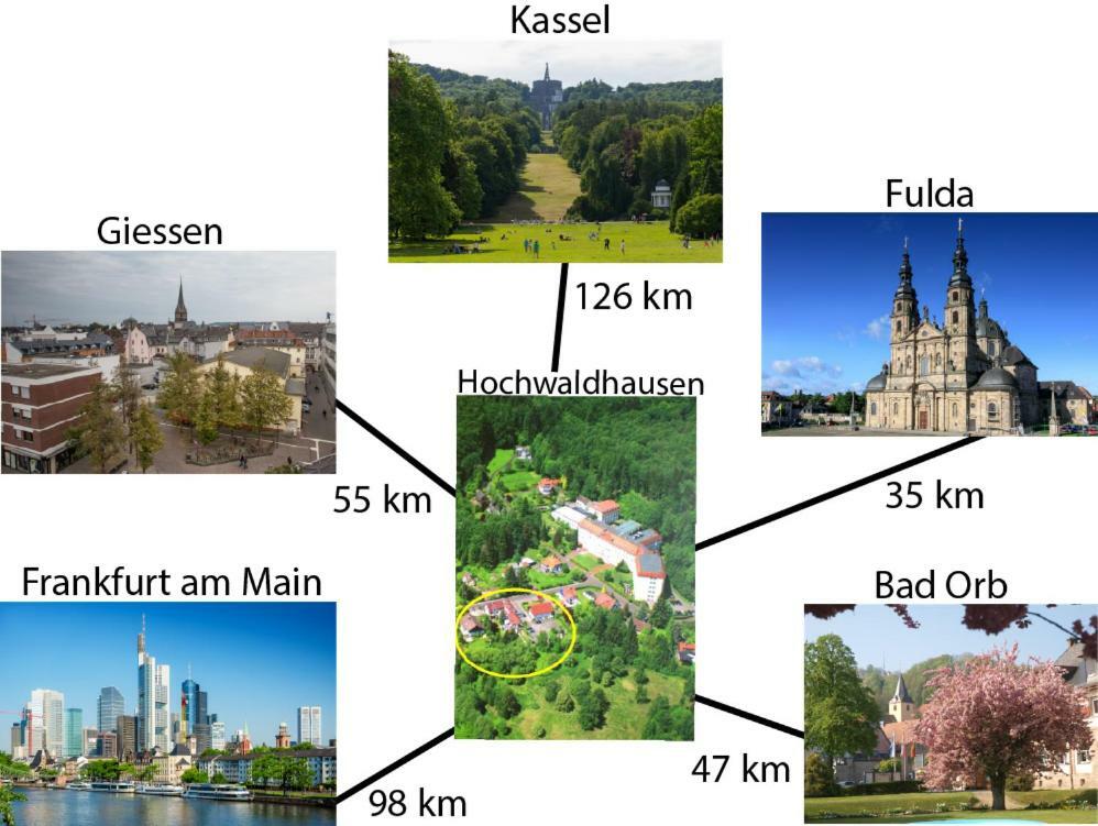 Gruenes Paradies